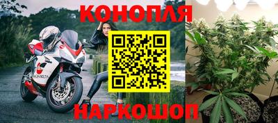 амф Заволжье