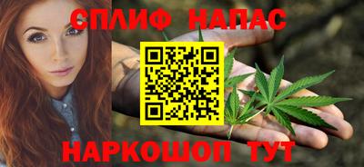 стафф Заводоуковск