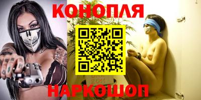 стафф Заводоуковск